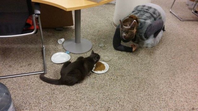 Фотографии, на которых не понять, что происходит (23 фото)