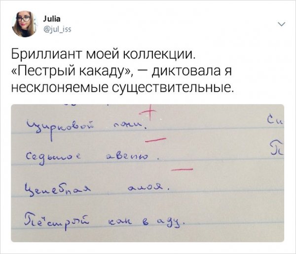 Забавные и правдивые твиты о школьной жизни от учительницы (25 фото)