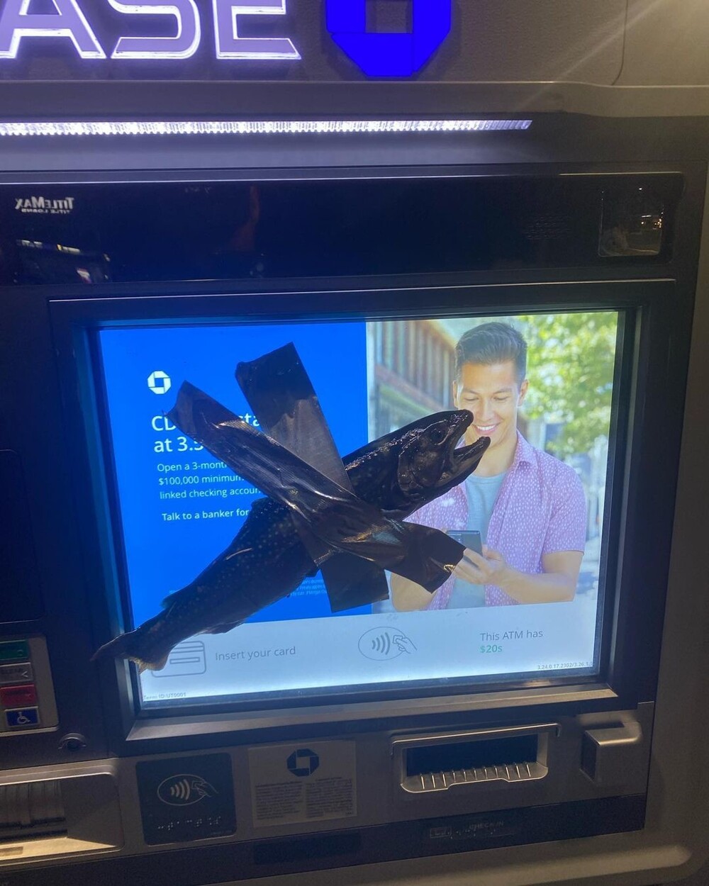 В США полицейские арестовали "рыбного бандита" (5 фото)