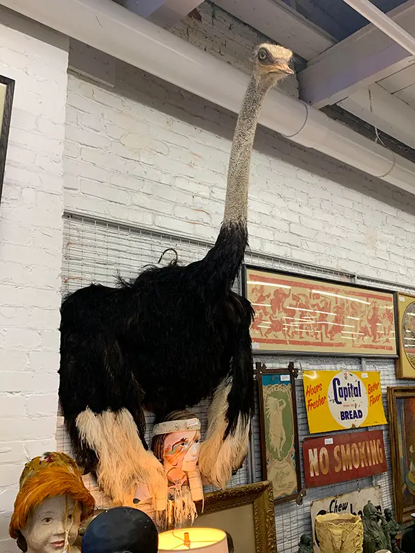 15 дизайнеров, у которых слишком сильно разгулялось воображение (16 фото)