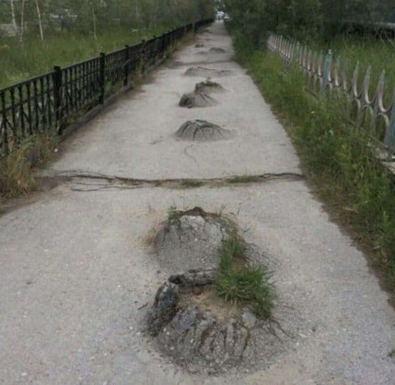 Тротуарные изыски для самых отъявленных извращенцев (18 фото) Тротуарные изыски для самых отъявленных извращенцев (18 фото)