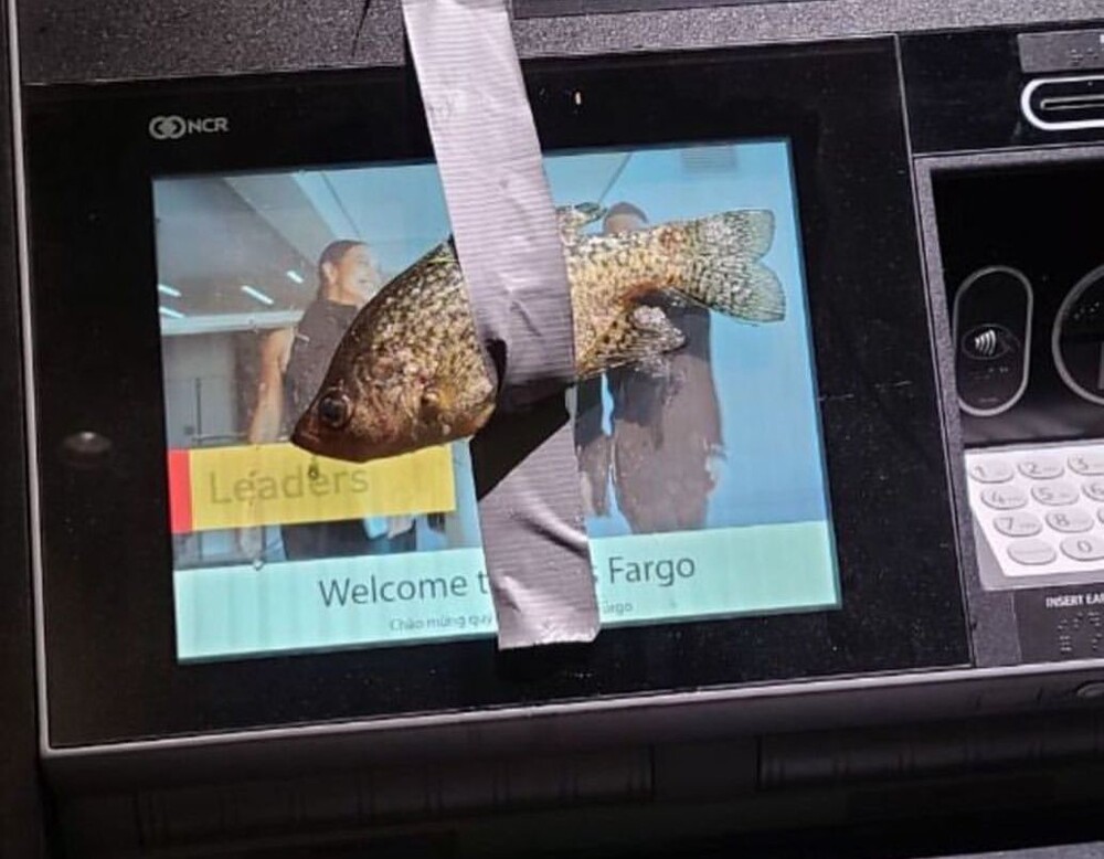 В США полицейские арестовали "рыбного бандита" (5 фото)