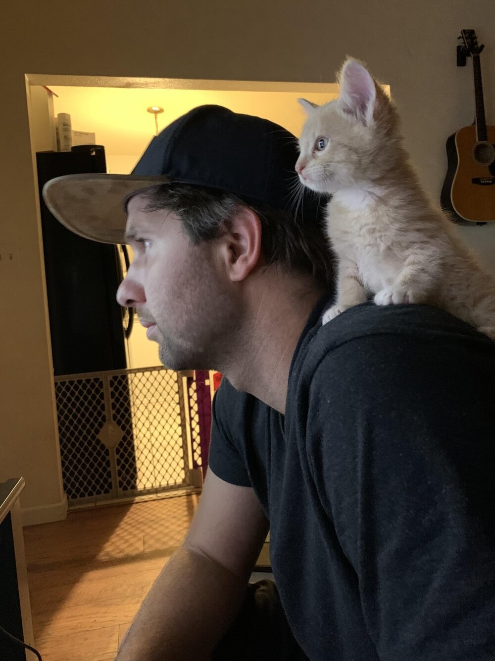 20 потешных питомцев, которые легко могут поднять настроение (21 фото) 20 потешных питомцев, которые легко могут поднять настроение (21 фото)