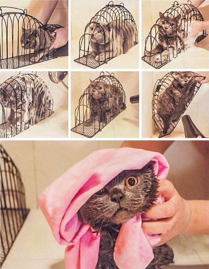 17 абсурдных и забавных изобретений, которые иногда просто необходимы (18 фото) 17 абсурдных и забавных изобретений, которые иногда просто необходимы (18 фото)