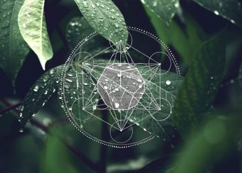 Что стоит знать о развитии личности